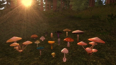 New fungi (updated)