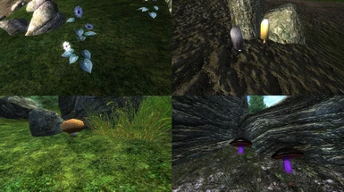 Come across the new flora in Cyrodiil.