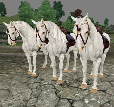 White horses - 3 mane styles
