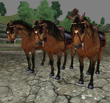Bay horses - 3 mane styles