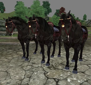 Black horses - 3 mane styles