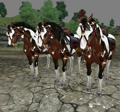 Paint horses - 3 mane styles