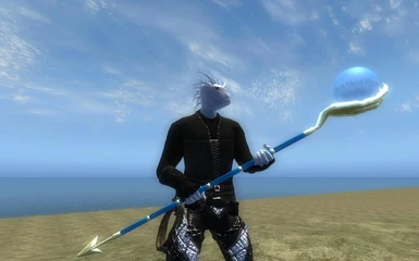 v1_1 Blue Staff in Third Person