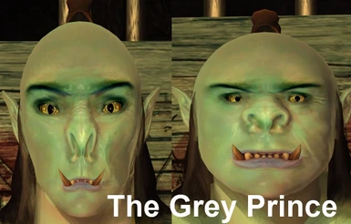 Grey Prince