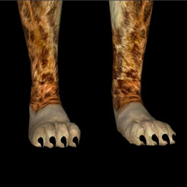 New Female Paws