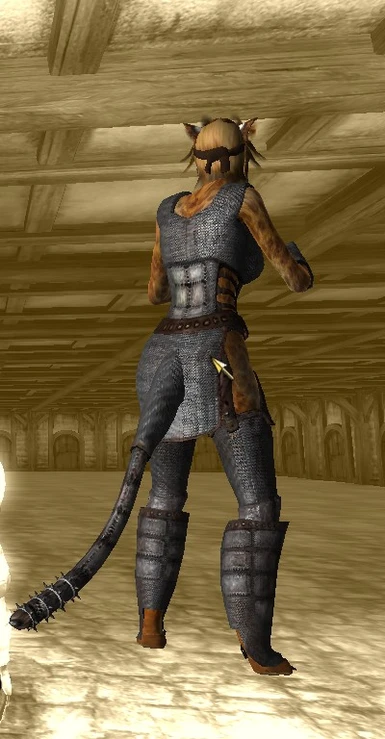 Full Tail Armor Set Chainmail