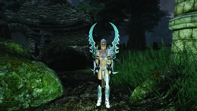 Love this Beautiful Armor and Weapon Set! Thank You!