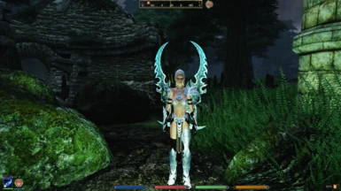Love this Beautiful Armor and Weapon Set! Thank You!