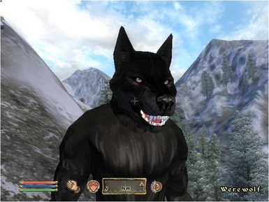 Werewolf With purple green eyes