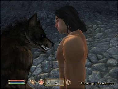 Show down between one of my werewolves and one of the strange Wanderers