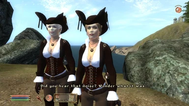 Pirate ladies Outfit by Korana