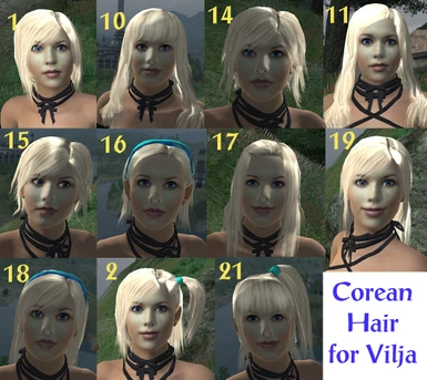 Corean Hairs for Vilja - optional file