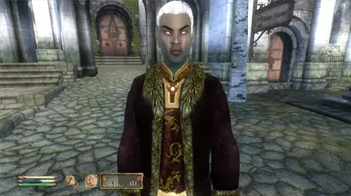 DarkelfChar01