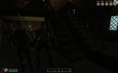 Some Random Companions - Seen here not attacking each other