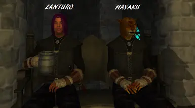 Zanturo and Hayaku
