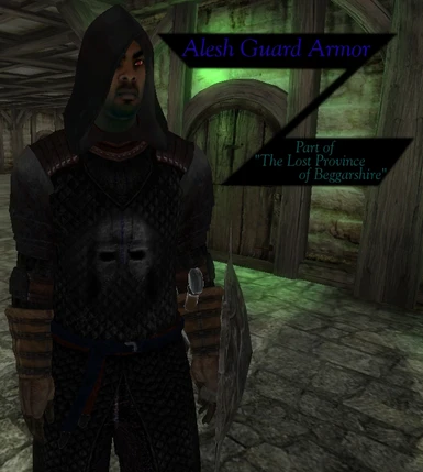 Alesh City Guard Armor
