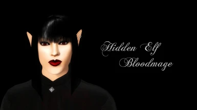 Hidden Elf Bloodmage