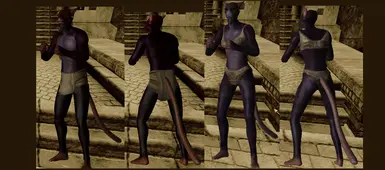 dark Colouring