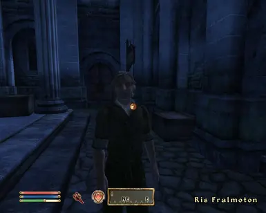 Ris NPCpack2