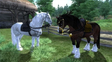Zira Clydesdale Horses
