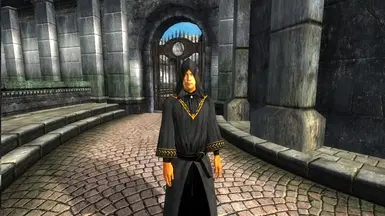 Arcane Vendor