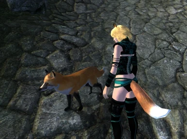 Fox in game