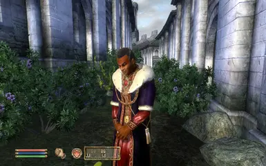 The Robe