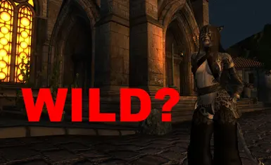 Wild Tabaxi