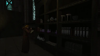 Priest of Stendarr taking Potion Inventory