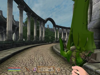 oblivion reloaded first person