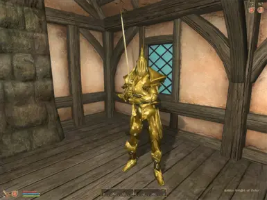 Golden Knight of Order ingame