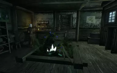 Witch Hut Interior