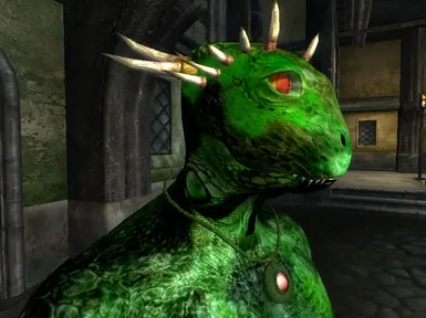 Biosa Argonian Face