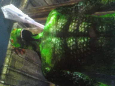Biosa Argonian Roberts Male Bod