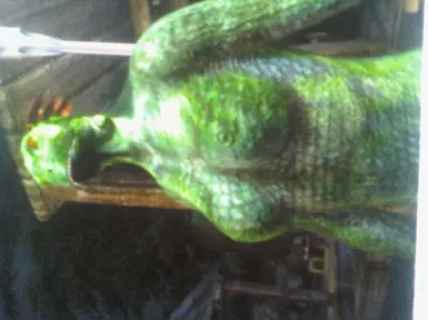 Biosa Argonian Roberts Female Bod