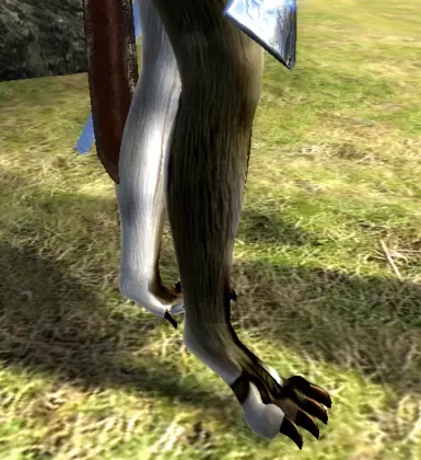 WOLF FEET