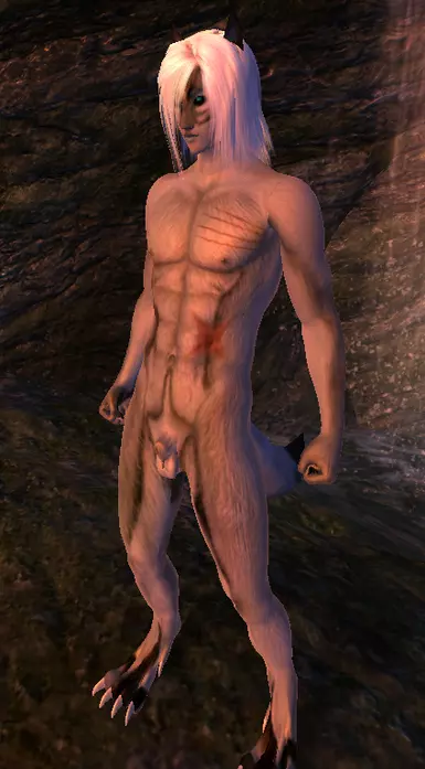 new body V5 next update