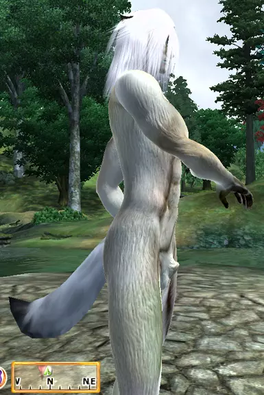 Body V5 next update 2