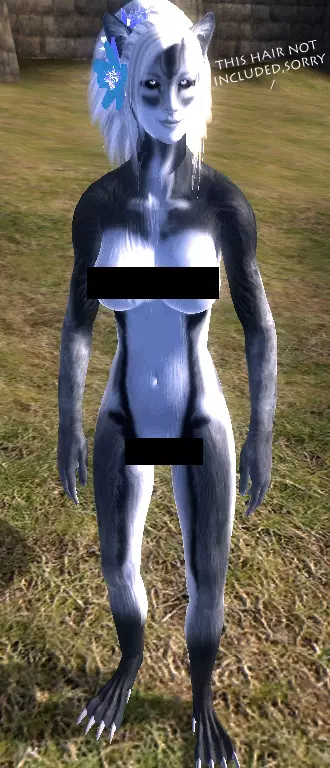 WOLFESS FRONT