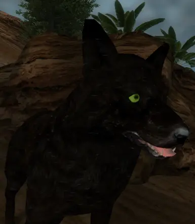 wolf form 