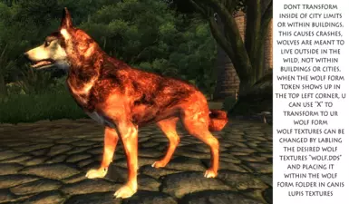 About wolf form