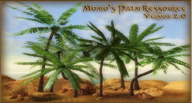 Momos Palm Ressource