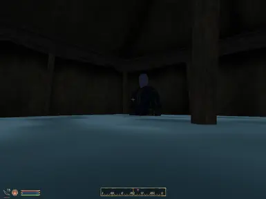 Zlatzlat in his new temporary home