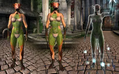 RobertFemale