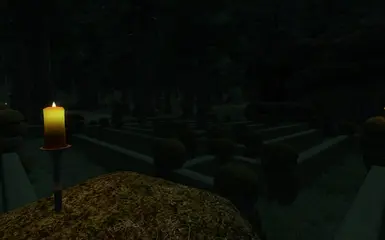 Clavicus labyrinth