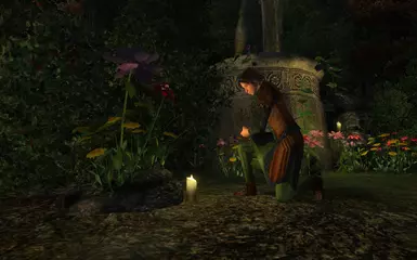 Meridia flowers