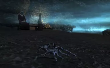 Little spider