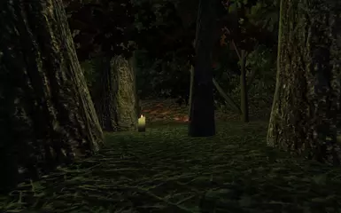 Candle in the Meridia woods