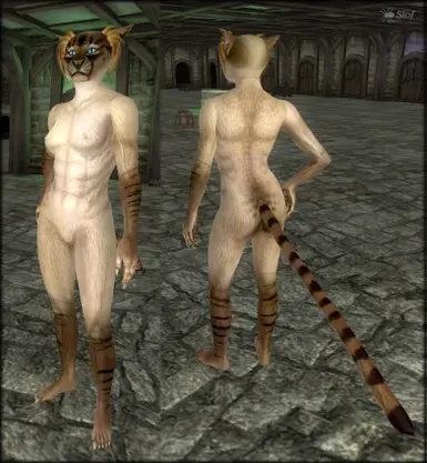 Slofs Khajiit Retexture for Robert Bodies OMOD