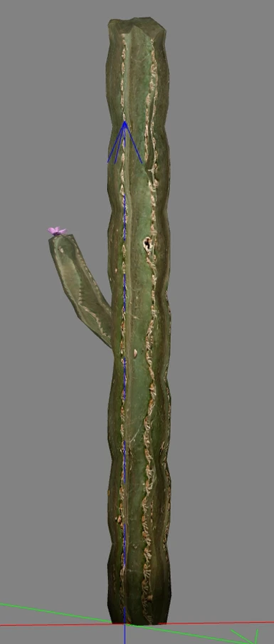 cactus06